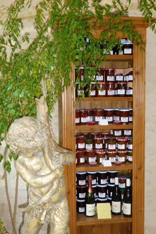 Domaine De La Maison Neuve Saint-Jean-Saint-Germain 외부 사진