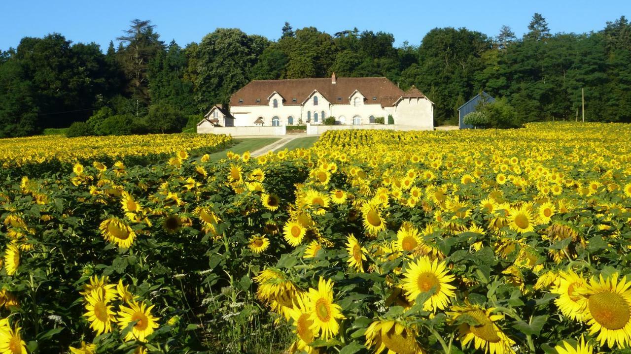 Domaine De La Maison Neuve Saint-Jean-Saint-Germain 외부 사진
