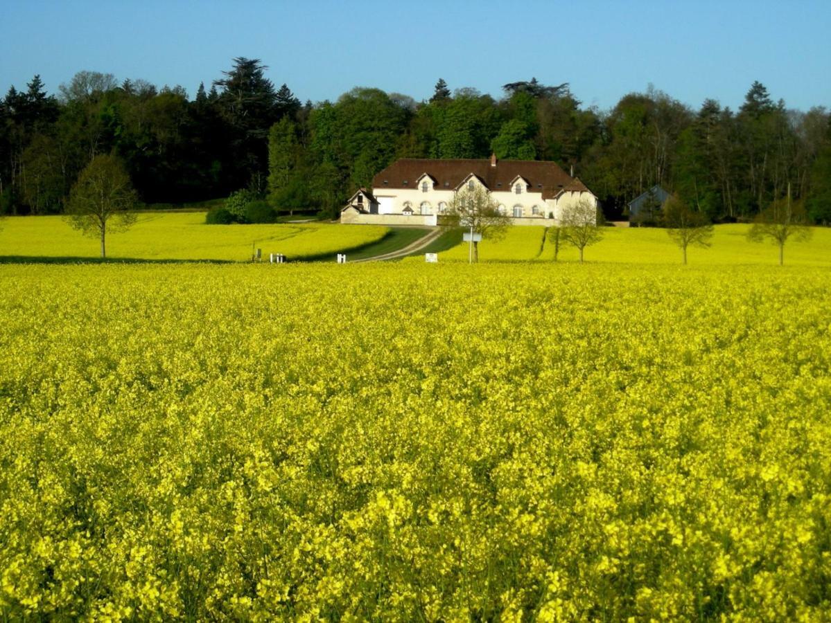 Domaine De La Maison Neuve Saint-Jean-Saint-Germain 외부 사진