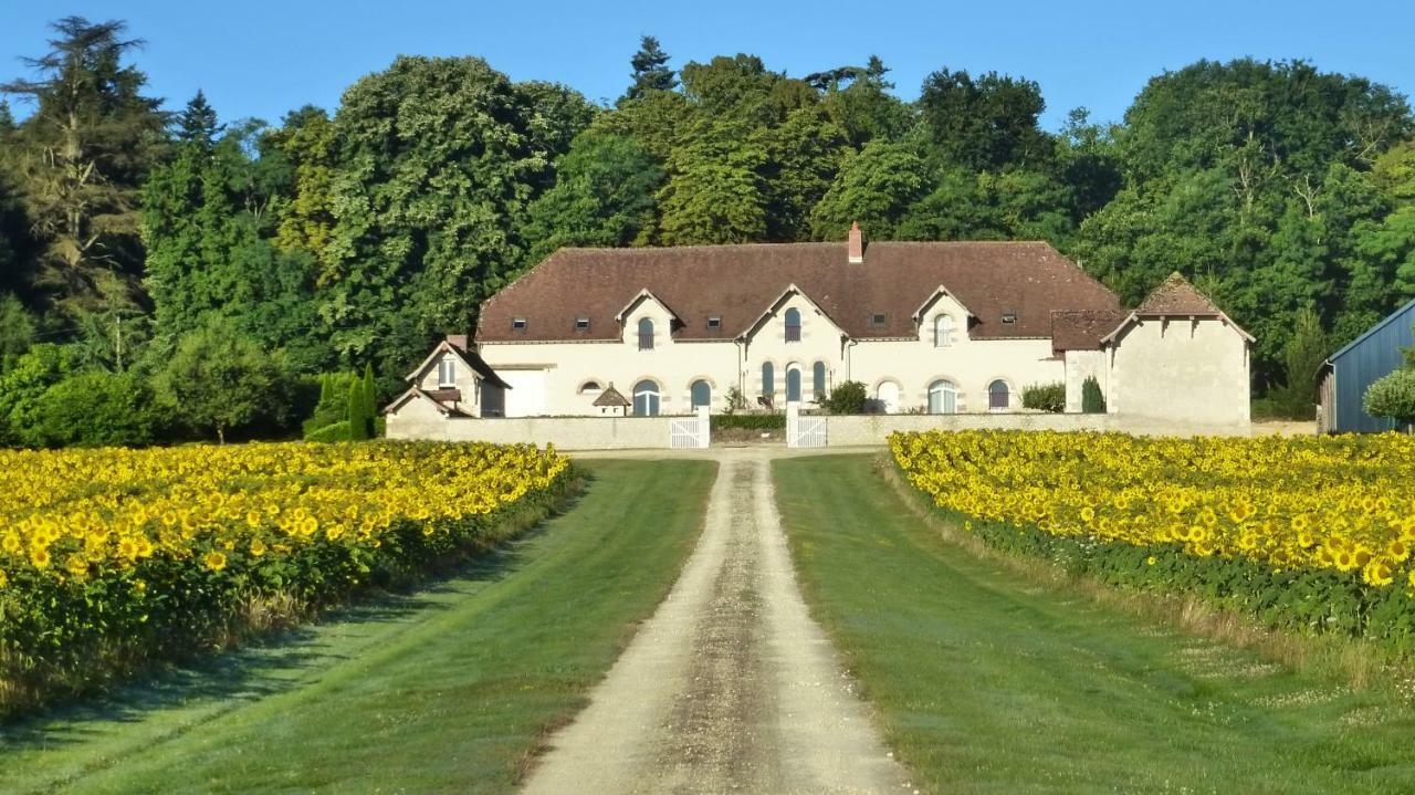 Domaine De La Maison Neuve Saint-Jean-Saint-Germain 외부 사진